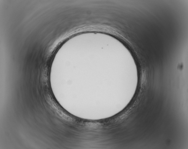 X0000115491498200912041004