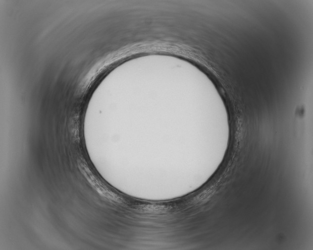 X0000115491499200912041004