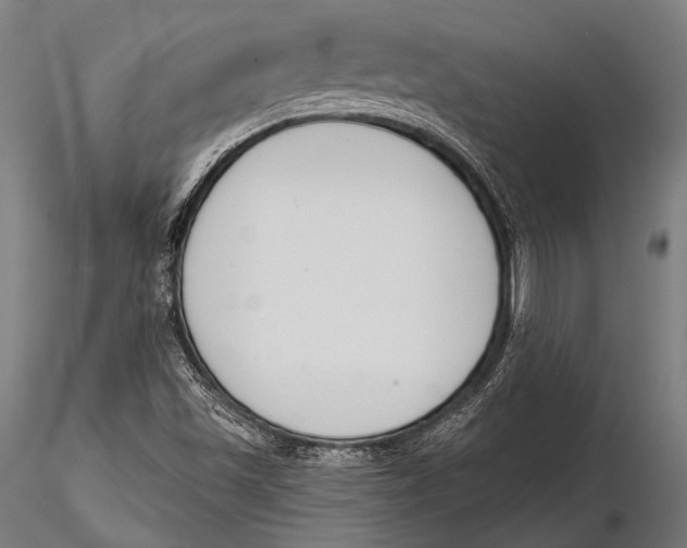 X0000115491501200912041004