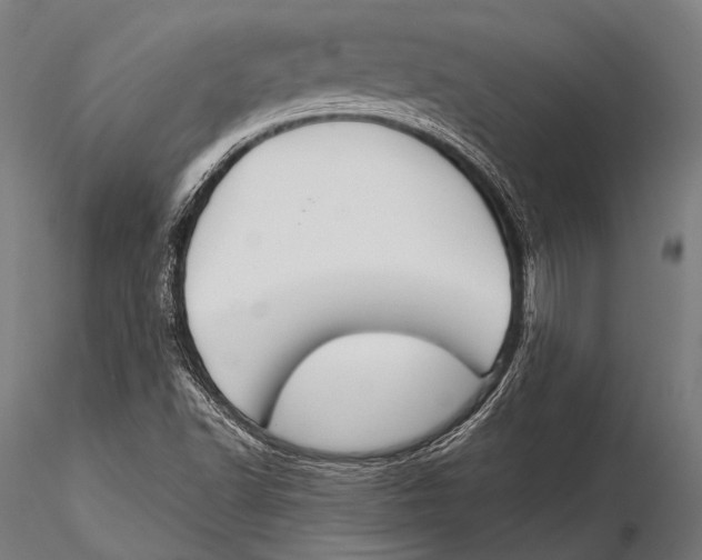 X0000115491502200912041004