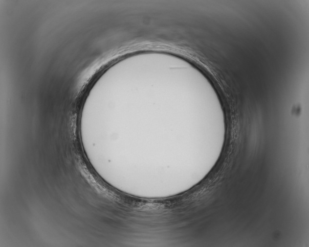X0000115491503200912041004