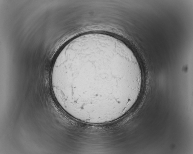 X0000115491505200912041004