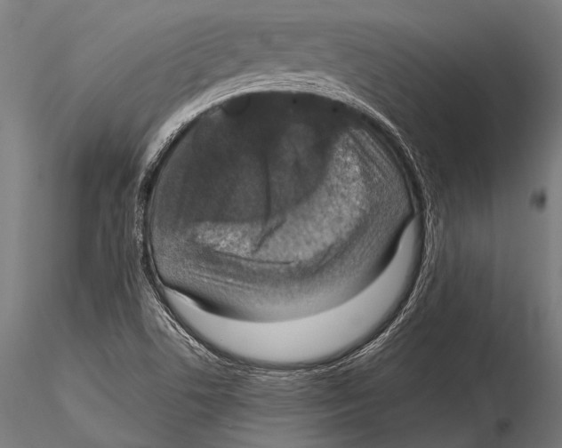 X0000115491506200912041004
