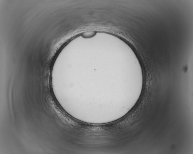 X0000115491507200912041004