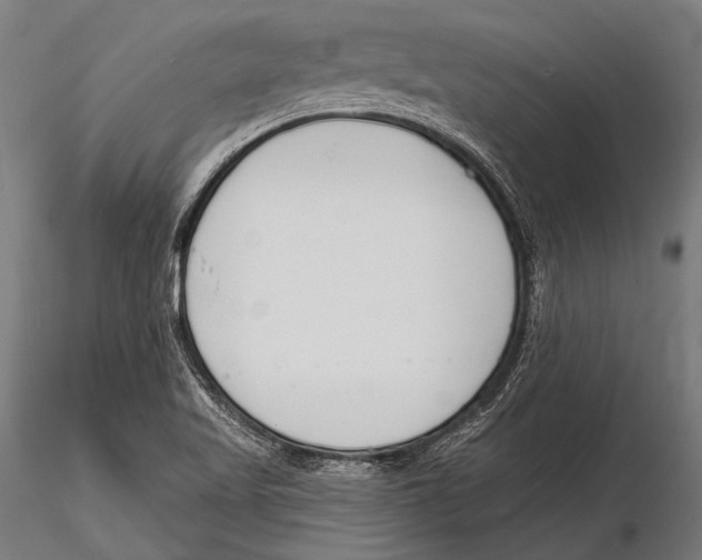 X0000115491509200912041004