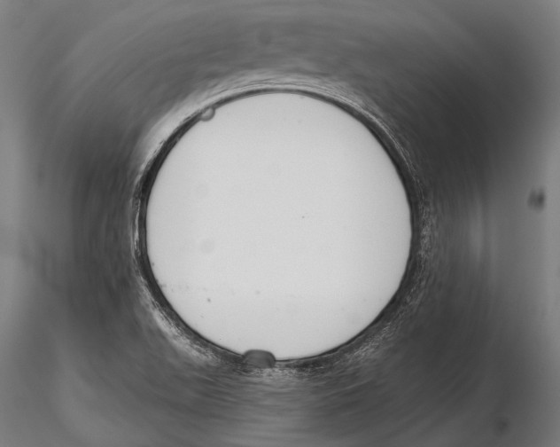 X0000115491511200912041004
