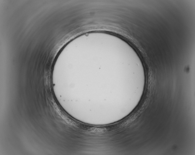 X0000115491513200912041004