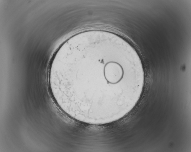 X0000115491514200912041004