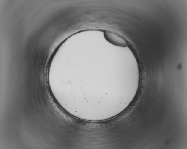 X0000115491517200912041004