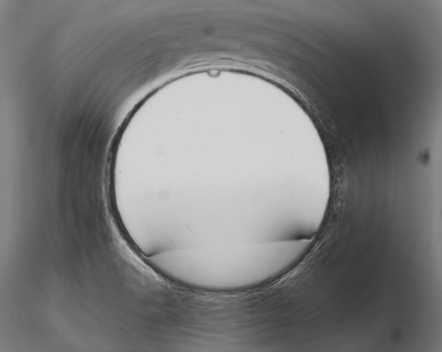 X0000115491518200912041004