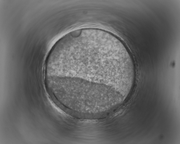 X0000115491519200912041004