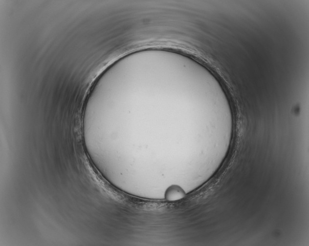 X0000115491521200912041004