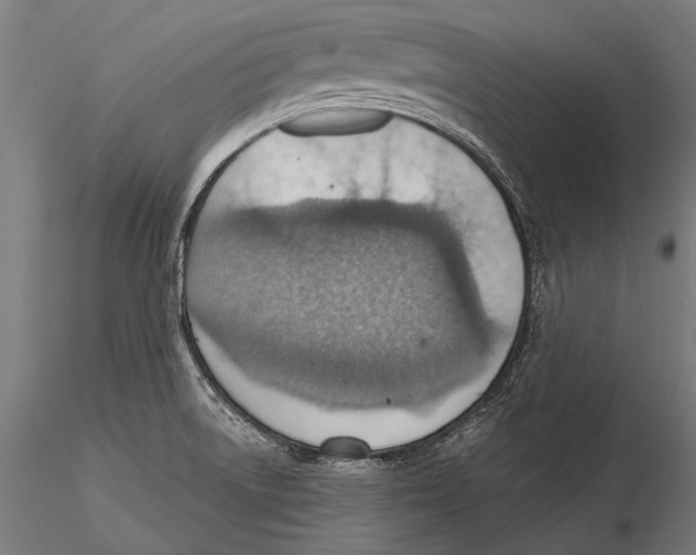 X0000115491522200912041004