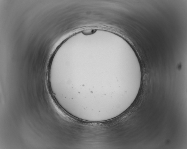 X0000115491523200912041004