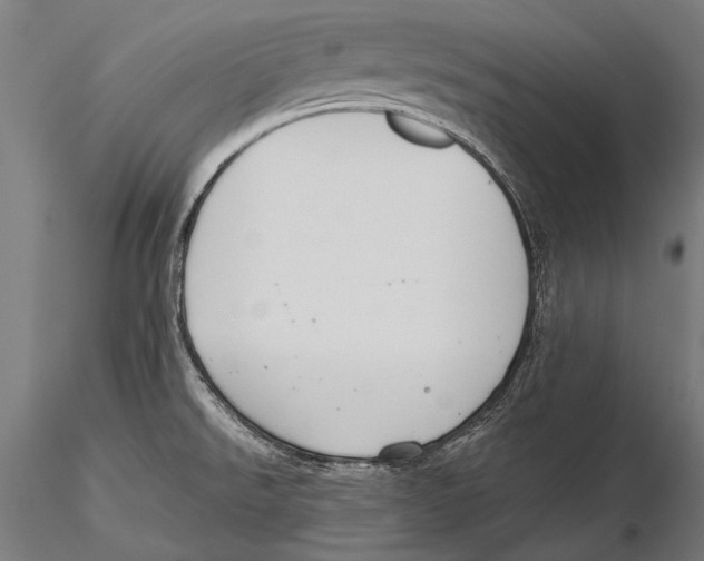 X0000115491526200912041004