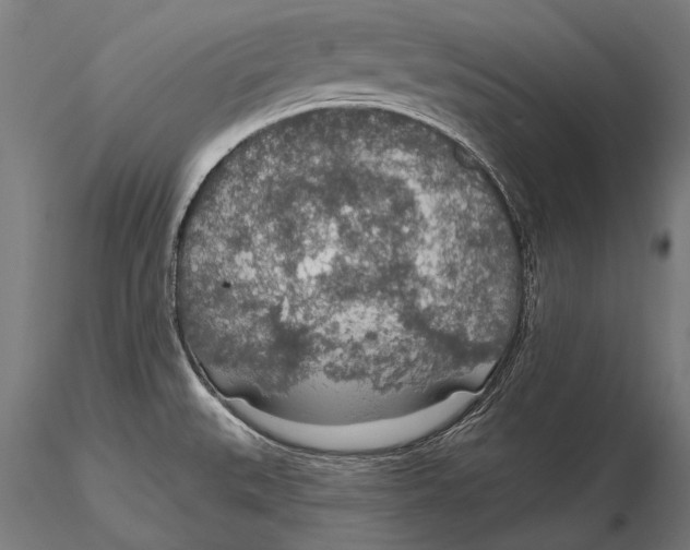 X0000115491527200912041004