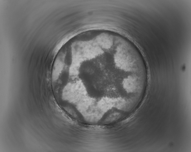 X0000115491529200912041004