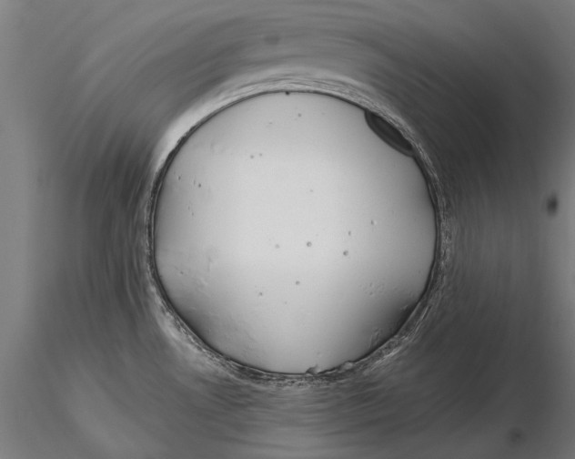 X0000115491530200912041004