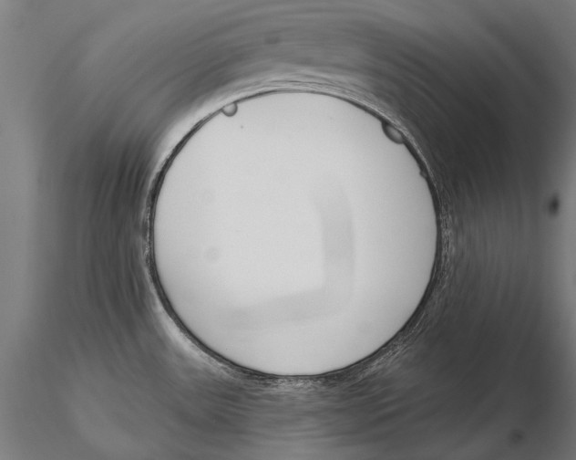 X0000115491531200912041004
