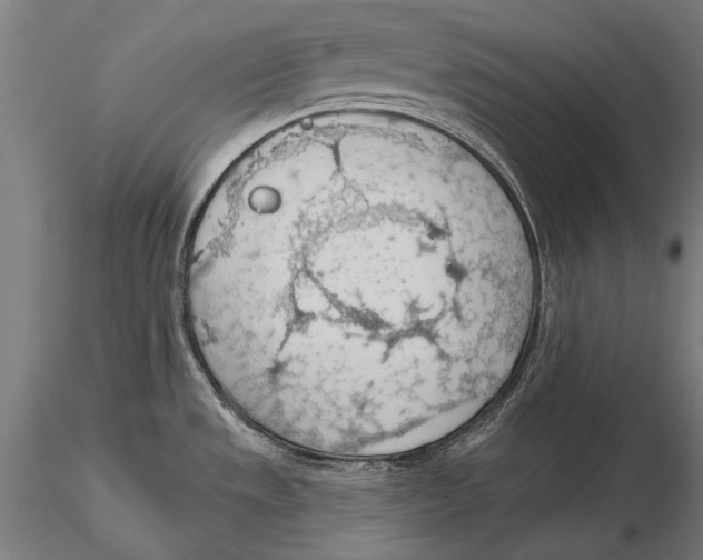 X0000115491533200912041004