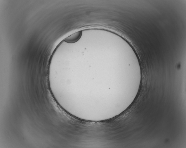 X0000115491534200912041004