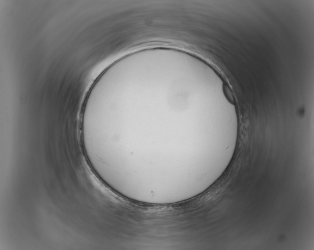 X0000115491535200912041004
