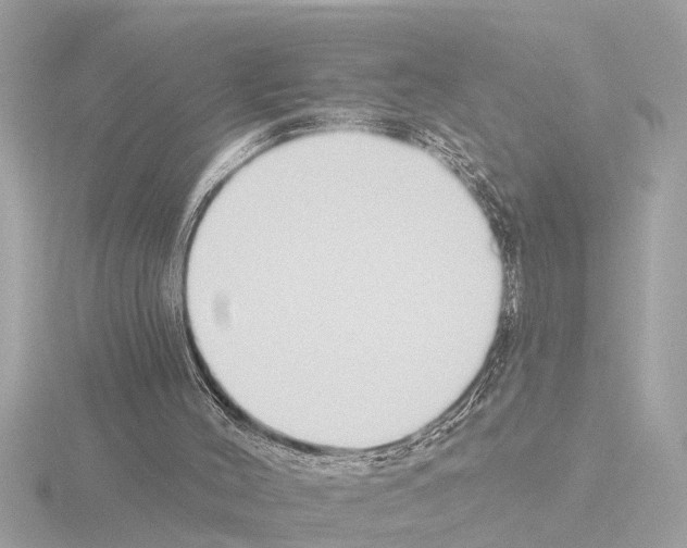 X0000115490004200912181413