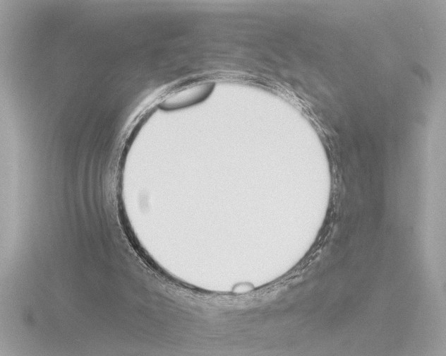 X0000115490007200912181413