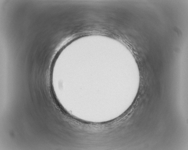X0000115490008200912181413