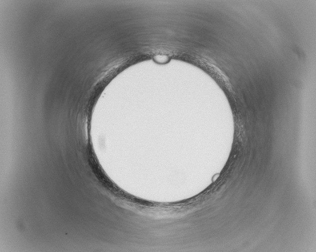 X0000115490020200912181412