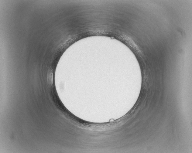 X0000115490021200912181412