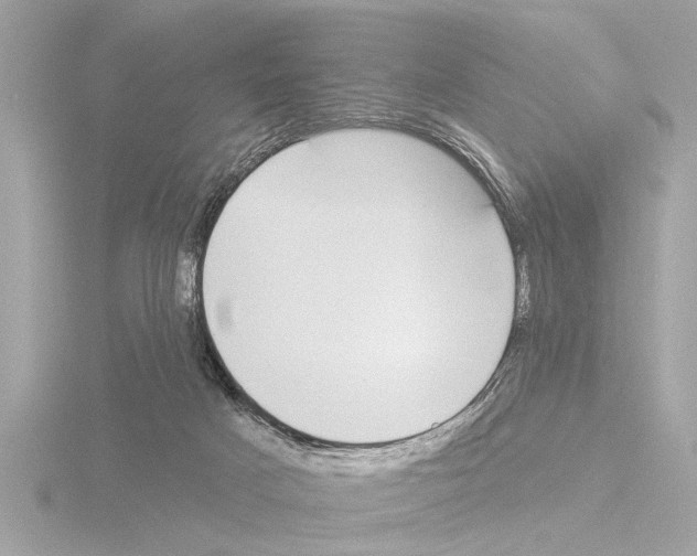 X0000115490025200912181412