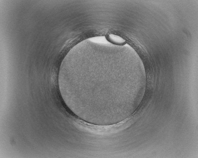 X0000115490035200912181412