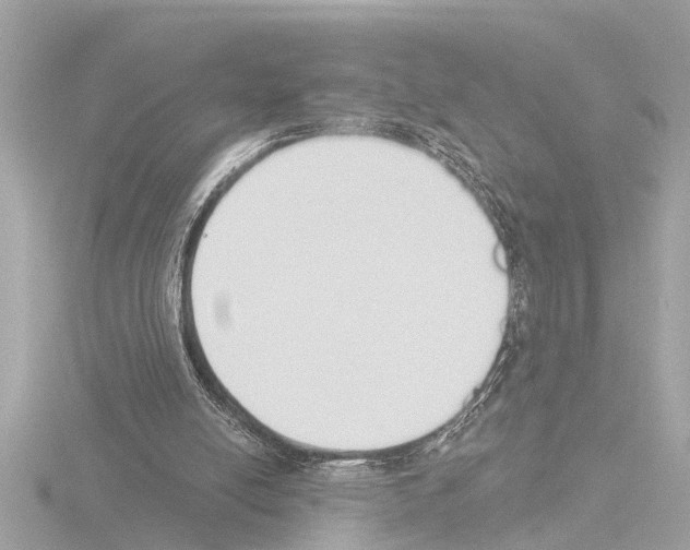 X0000115490054200912181412
