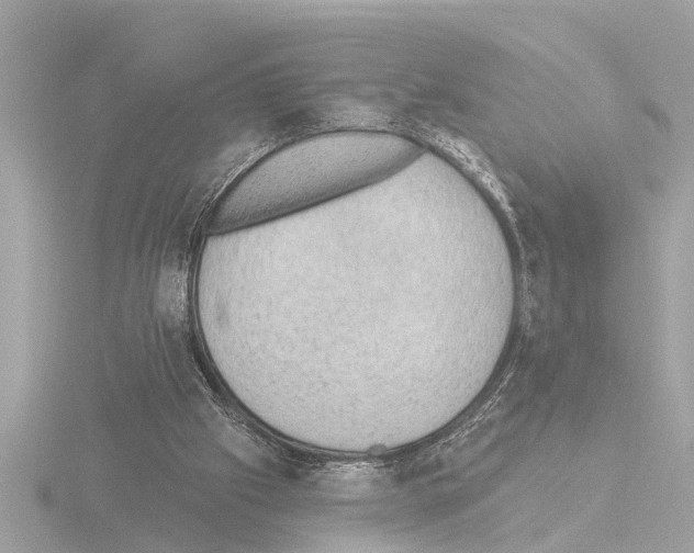X0000115490057200912181412