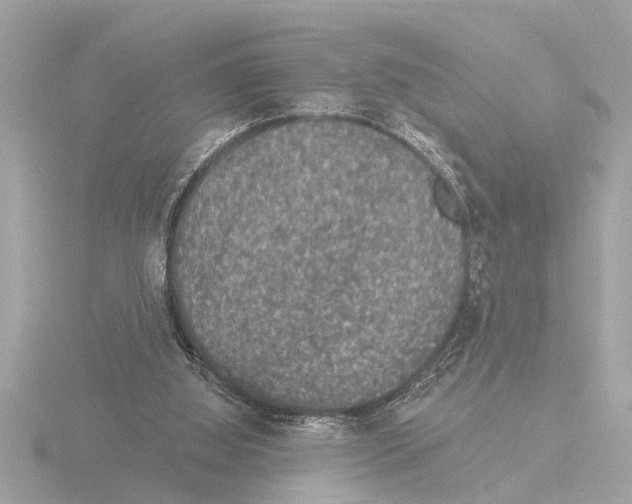 X0000115490060200912181412