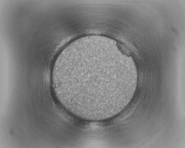 X0000115490064200912181412