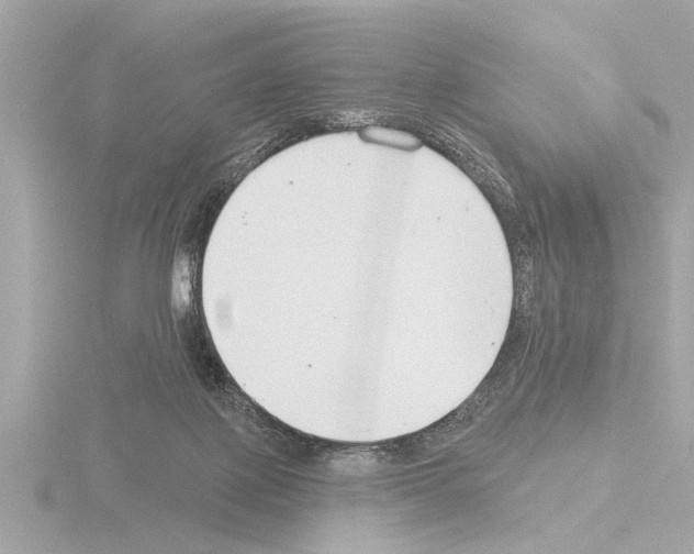 X0000115490075200912181412