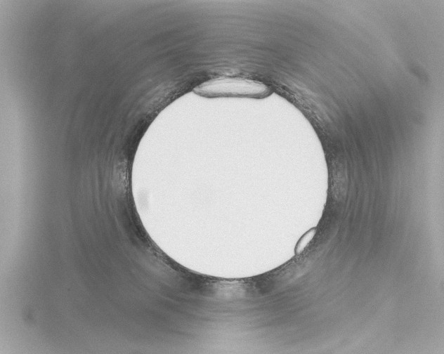 X0000115490085200912181412