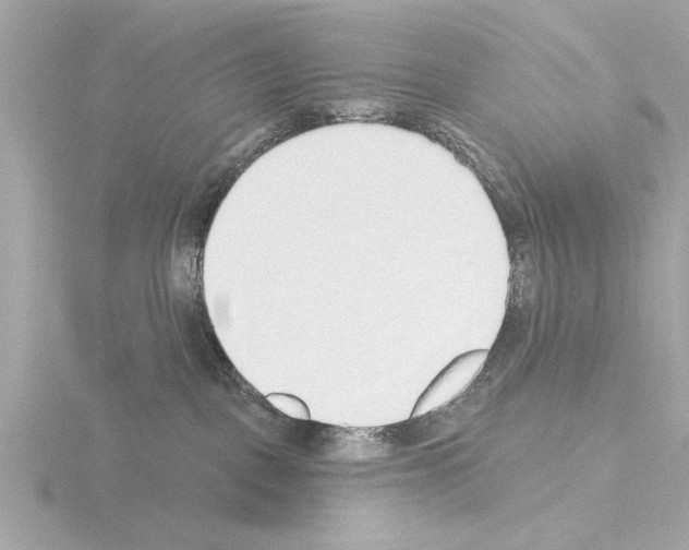 X0000115490093200912181412
