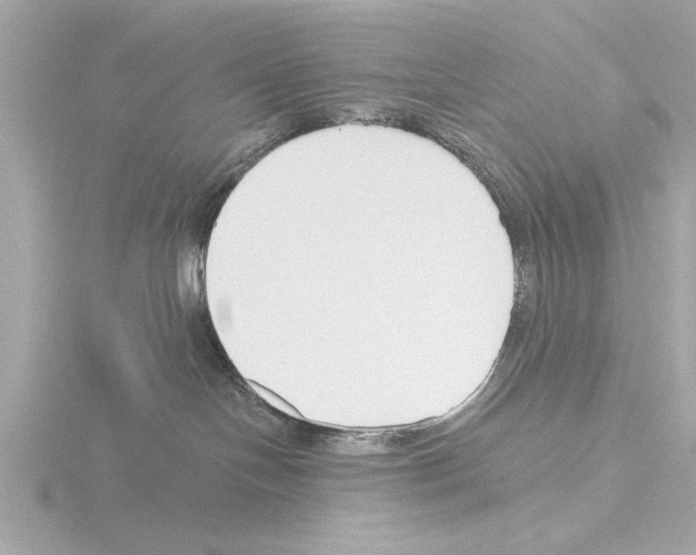 X0000115490094200912181412