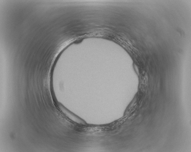 X0000115490100200912181411