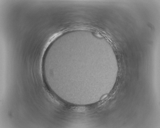 X0000115490104200912181411