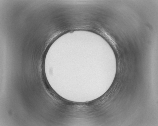 X0000115490107200912181411