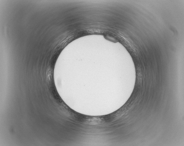 X0000115490125200912181411