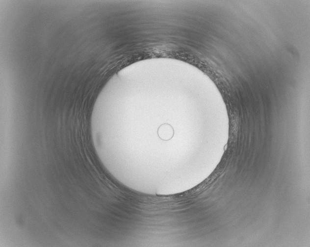 X0000115490129200912181411