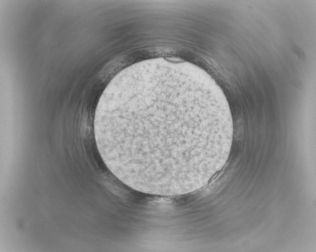 X0000115490140200912181411