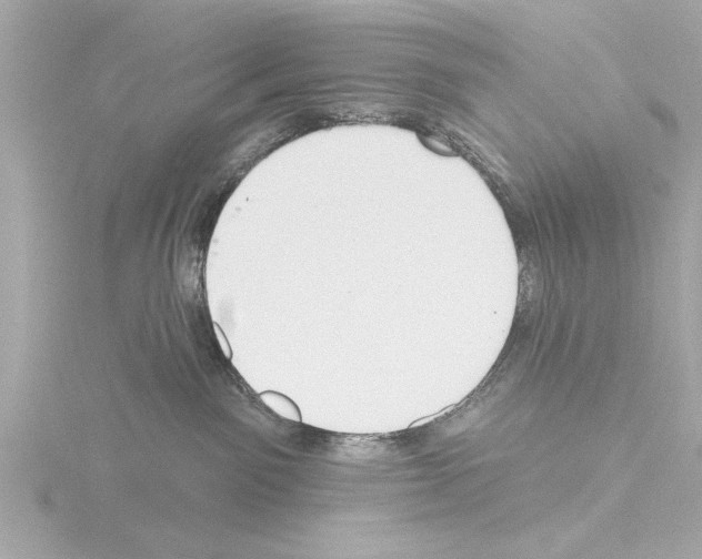 X0000115490141200912181411