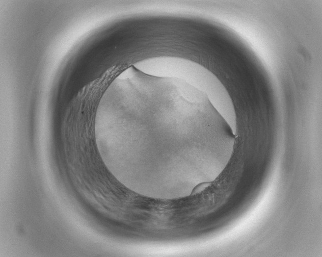 X0000115490143200912181411