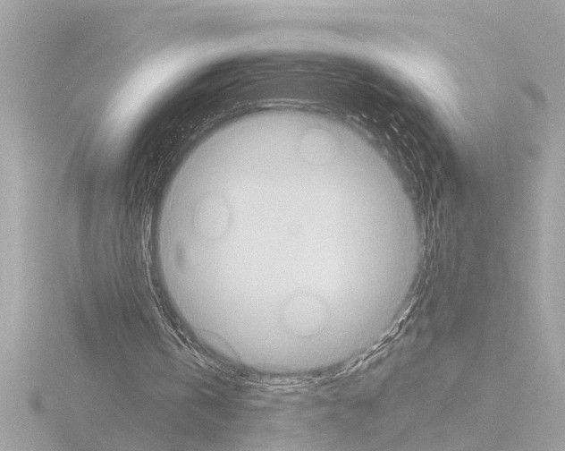 X0000115490146200912181410